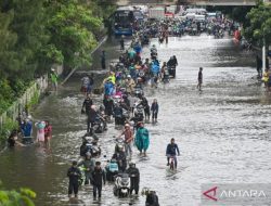 Kecelakaan Meningkat, Keselamatan Motor Jadi Perhatian