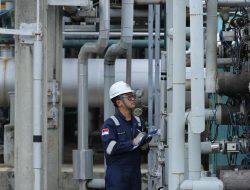 Aral Industri Petrokimia: Stok Menipis, Pengiriman Memakan Waktu