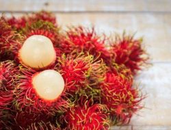8 Makanan Penting untuk Meningkatkan Kekebalan Anak, Cegah Mudah Sakit