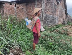 Harta karun tersembunyi di balik kain jarik lusuh