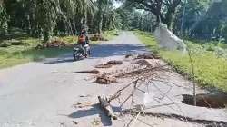Terminal Khusus CPO Dibangun di Desa Doda, Pasangkayu