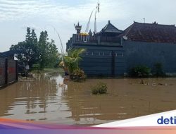 Hujan deras membanjiri puluhan rumah di Jembrana Bali